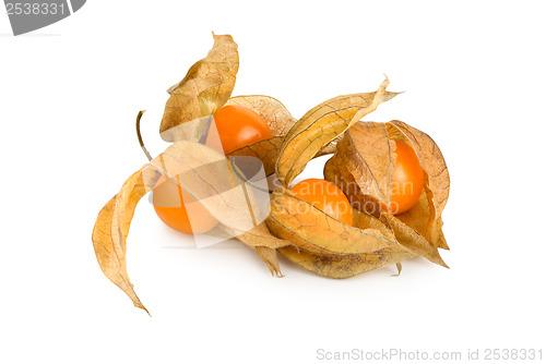 Image of Physalis