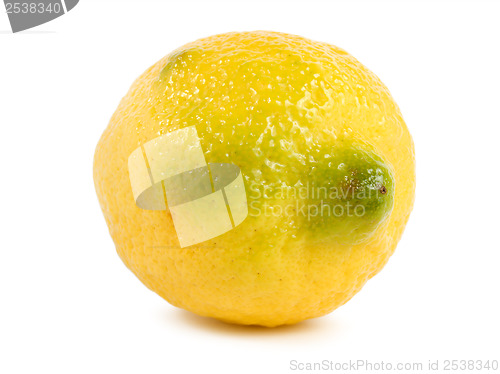 Image of Lemon isolated
