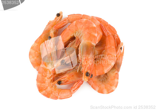 Image of Boiled shrimps