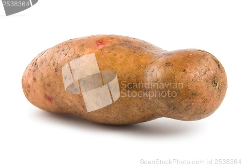 Image of Potato