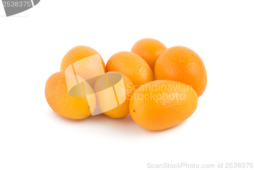 Image of Kumquat isolated