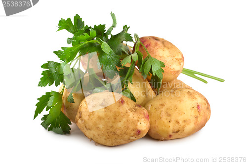 Image of Potato and parsley