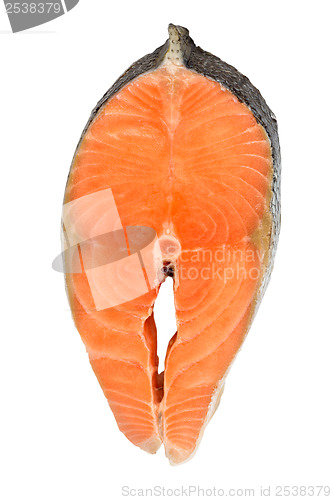 Image of Salmon