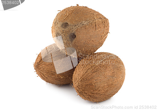 Image of Three coconut isolated