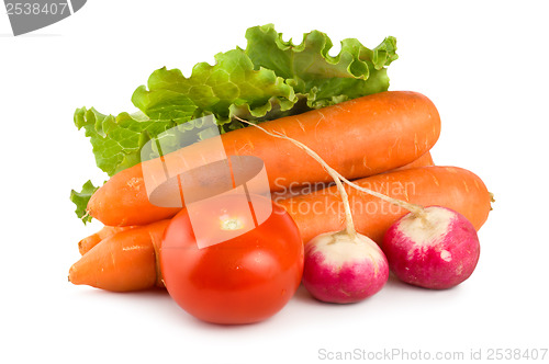 Image of Fresh vegetables isolated on white