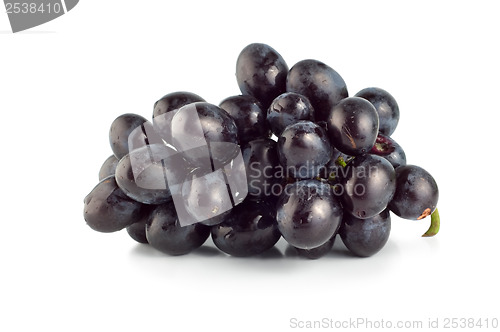 Image of Blue grape isolated