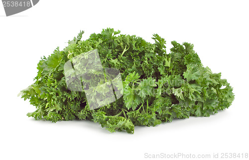 Image of Parsley