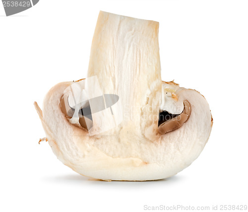 Image of One champignon isolated