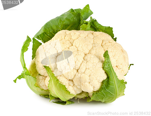 Image of Cauliflower