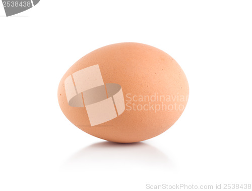 Image of Egg