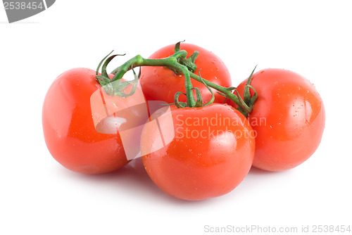 Image of Four ripe tomatoes 