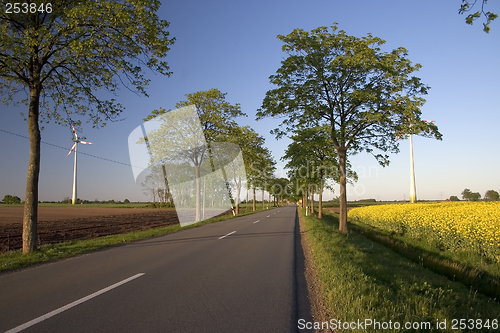 Image of Road through rural landscape