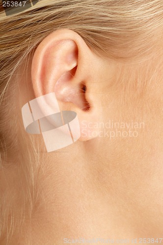 Image of ear of blond