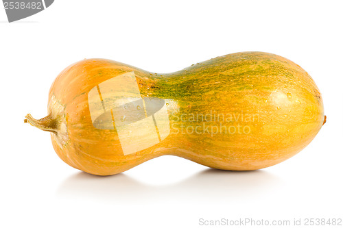 Image of Yellow squash