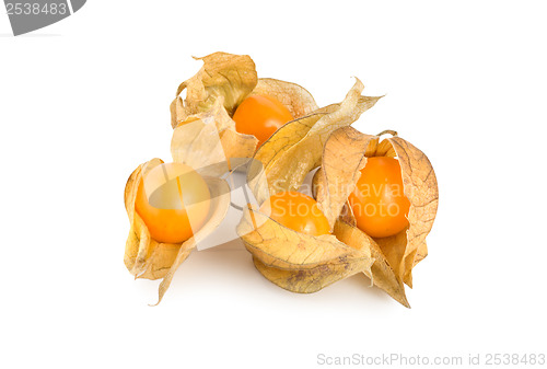 Image of Ripe physalis