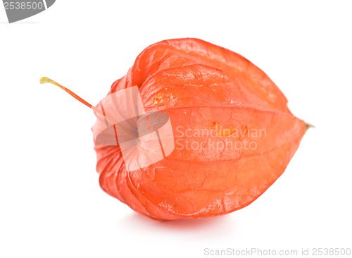 Image of Cape gooseberry