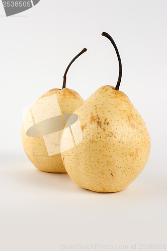 Image of Two pears