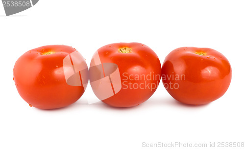Image of Three tomato isolated