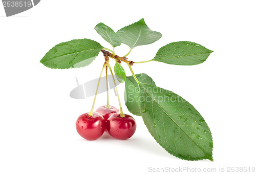 Image of Red cherry