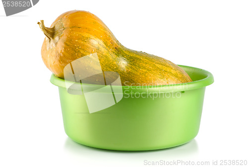 Image of Ripe squash in the container