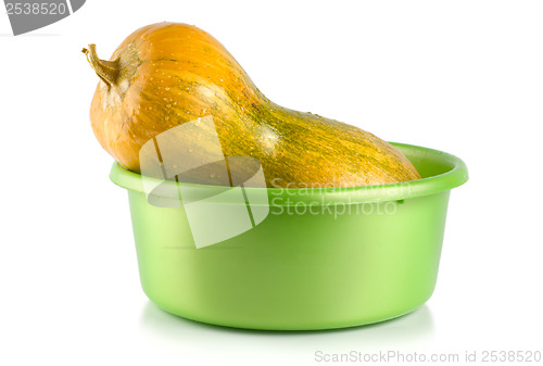 Image of Ripe squash in the container