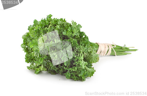 Image of Fresh parsley