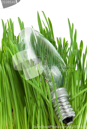 Image of Lamp in grass isolated