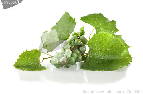 Image of Grape isolated 