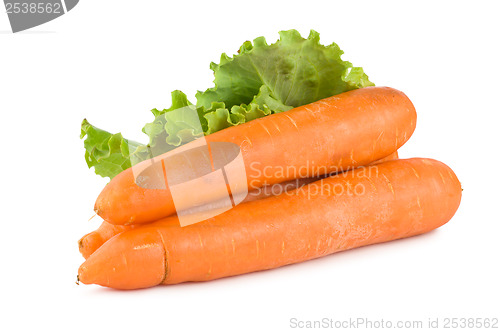 Image of Carrots and lettuce