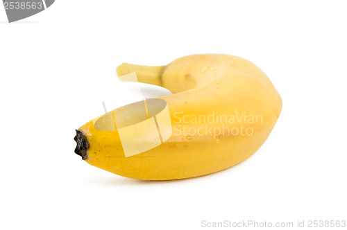 Image of Banana isolated