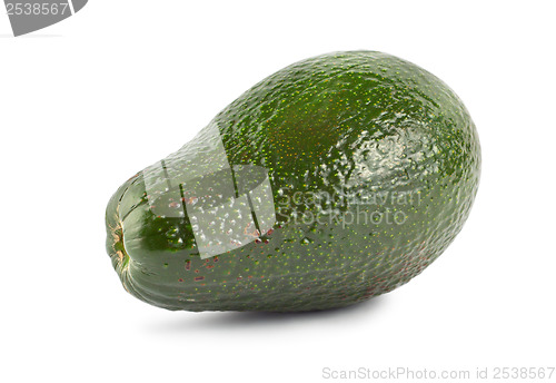 Image of Avocado