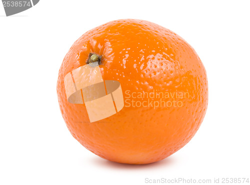 Image of Orange