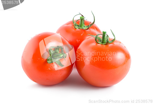 Image of Three red tomatoes isolated