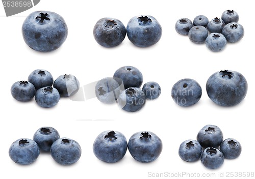 Image of Blueberry set