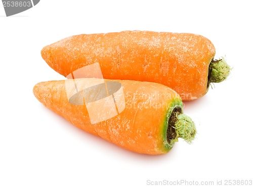 Image of Carrot