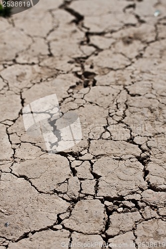 Image of Dry land