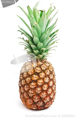 Image of Pineapple