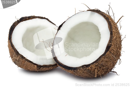 Image of Coconut