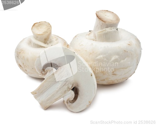 Image of Champignon mushrooms