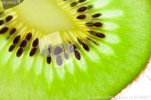 Image of Kiwi