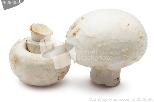 Image of Champignon mushrooms