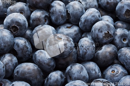 Image of Blueberries