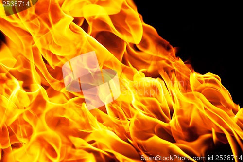 Image of Fire