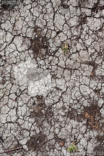 Image of Dry land
