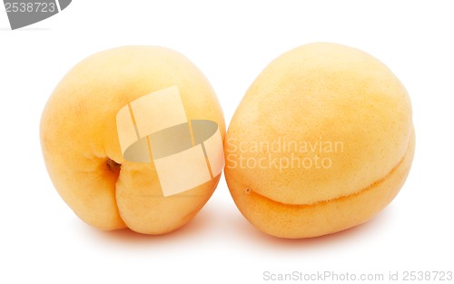 Image of Apricots