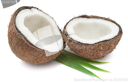 Image of Coconut