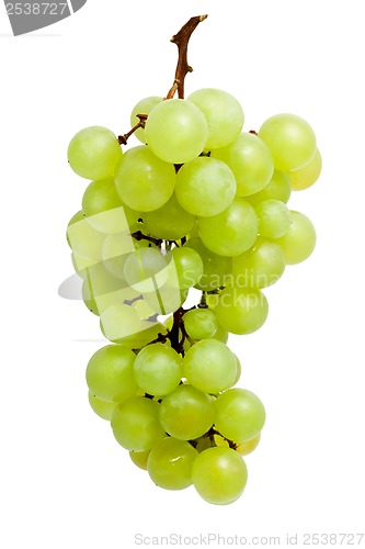 Image of Grapes