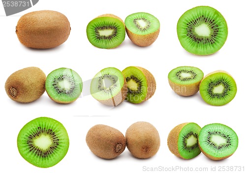 Image of Kiwi