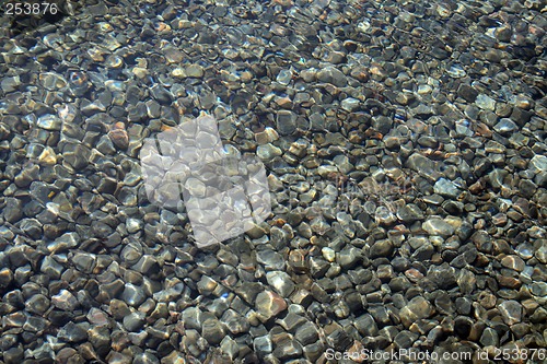 Image of Pebbly bottom seen through transparent water