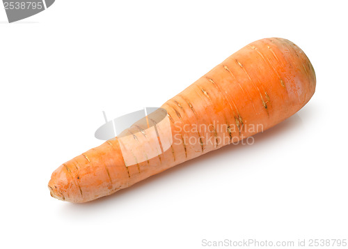 Image of Raw carrot